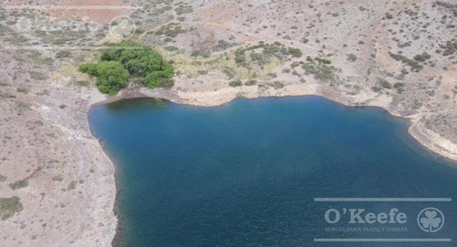 Imagen 4 de 28 de 8.805 Has En Neuquen Venta / Alquiler, Con 18 Km De Costa Del Embalse Piedra Del Águila.