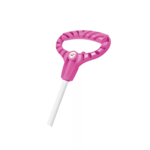 Triciclo Infantil Empurrador Unicórnio Fantasy Calesita Rosa