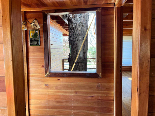 Imagen 18 de 26 de Alquiler De Casa / Cabaña En El Delta De Tigre