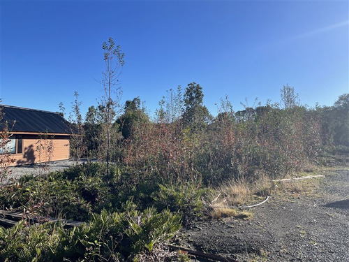 Casa Nueva De 160 M2 En Parcela Con Bosque Nativo De 5000m2