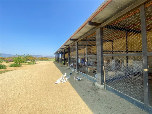 Imagen 21 de 29 de Sitio En 3 Has En Venta - Catapílco, Zapallar