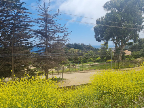 Sitio Pangue En Venta En Zapallar