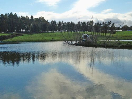 Campo En Maldonado Ref. 4536