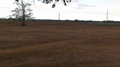 Imagen 4 de 14 de Venta Finca En Falcón Tucacas Oportunidad Cod. 423619