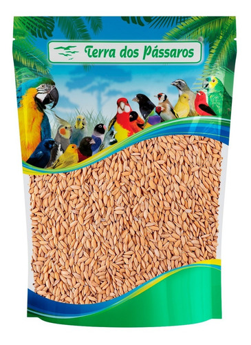 Sementes De Arroz Cateto Limpo Para Pássaros - 200 Gramas