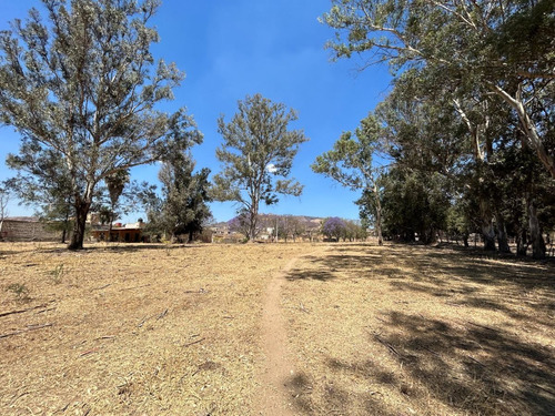 Imagen 4 de 15 de Terreno En Venta En Tesistán, Zapopan