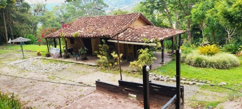 Imagen 4 de 18 de Granja En Peribeca 1.4 Ha