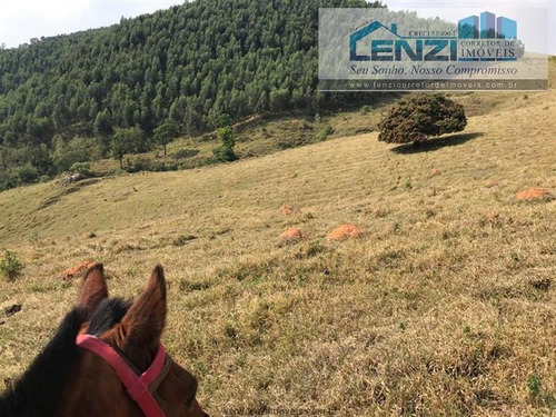 Imagem 5 de 11 de Fazendas À Venda Em Pedra Bela/sp - Compre O Seu Fazendas Aqui! - 1478389