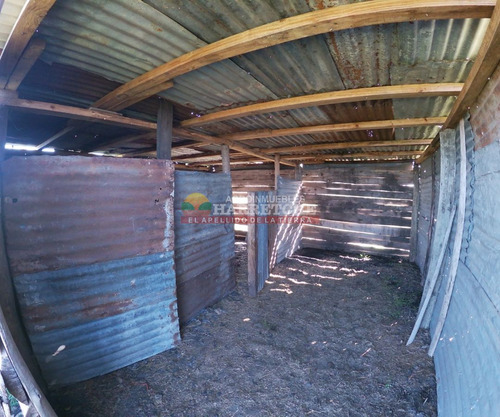 Imagen 19 de 21 de Chacra En Venta, 3 Has En Los Cerrillos, Casa Y Galones, Sobre Ruta!