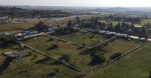 Imagen 7 de 7 de Terrenos Con Excelente Ubicación, Zona Cabecera Puente, Dos Terrenos De 20x67