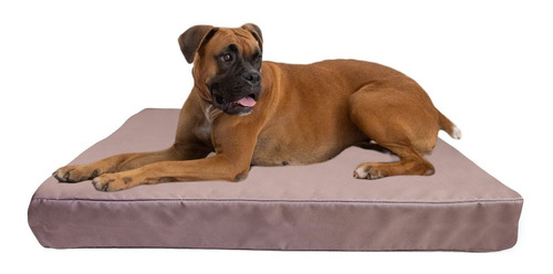 Cama Colchoneta Para Perros Lola Pets Antidesgarro 85x65 Cm