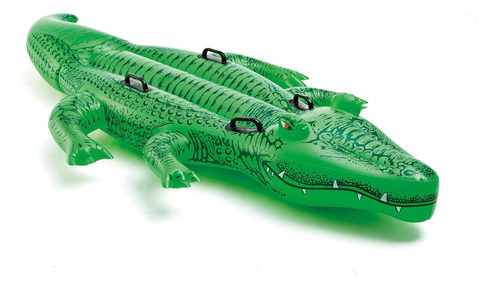 Bastidores Intex Giant Gator, 80 X 45, Para Más De 3