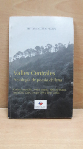 Valles Centrales Antologia De Poesia Chilena Libro Usado....