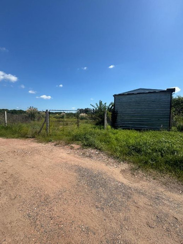Campo En Venta En Carlos Keen