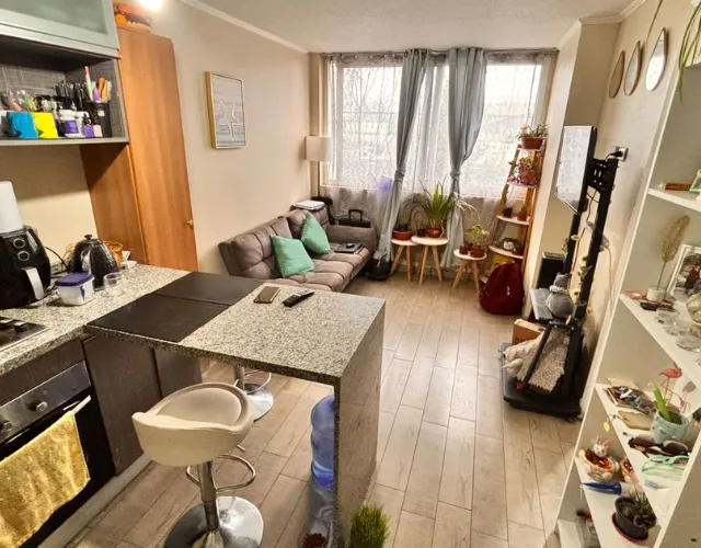 Imagen 5 de 13 de Arriendo Departamento En San Miguel