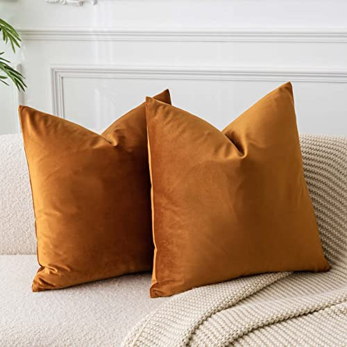 Juspurbet Velvet Tirar Fundas De Almohada Para Sofá Q6ncn