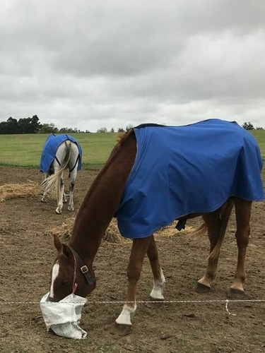 Caballo - Manta Lona Impermeable Y Arpillera, Intemperie!!