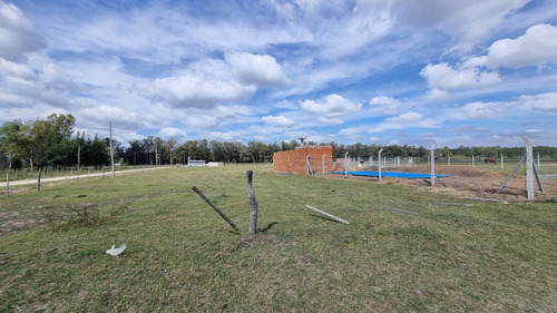 Terreno En Venta En Domselaar. Oportunidad