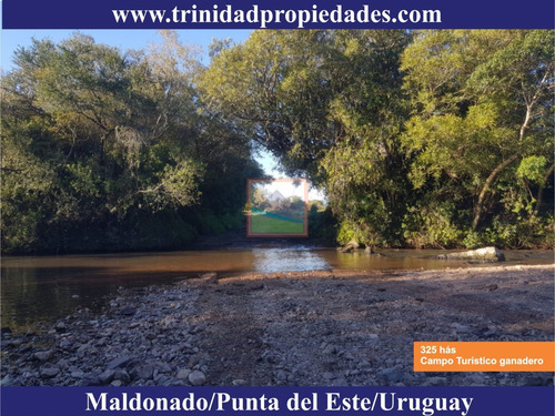 Imagen 12 de 14 de 325 Hás Campo Ganadero Criador