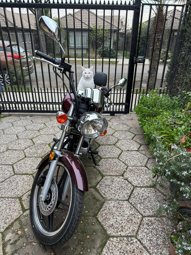 Imagen 8 de 15 de Moto Honda Shadow 150