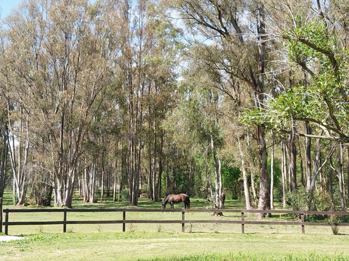Terreno Con Importante Mejoras En Chacras Del Paraná - Zarate