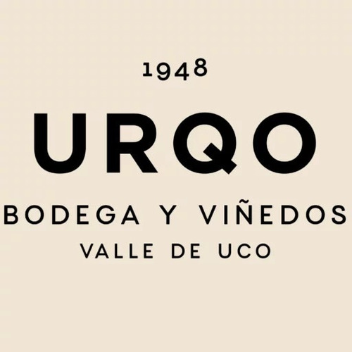 Vino Tinto Cabernet Franc Palo Santo Caja X6