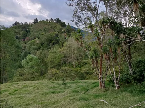 Vendo Finca Reventones Anolaima