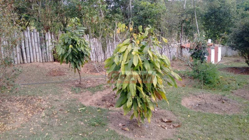 Imagem 24 de 27 de Chácara Com 3 Dormitórios À Venda, 4800 M² Por R$ 950.000,00 - Pouso Alegre - Santa Isabel/sp - Ch0080