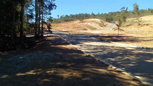Imagem 10 de 13 de Lote Para Comprar No Centro Em Belo Vale/mg - 606