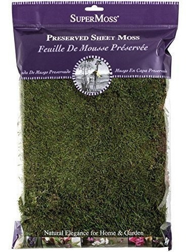 Hoja Conservada De Musgo, Verde Fresco, 8 Oz (200'' Cubicas)