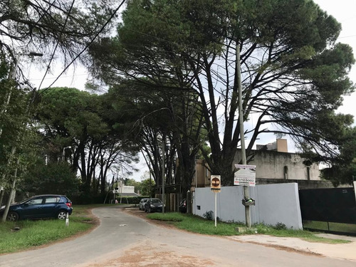 Terreno - P.alvear
