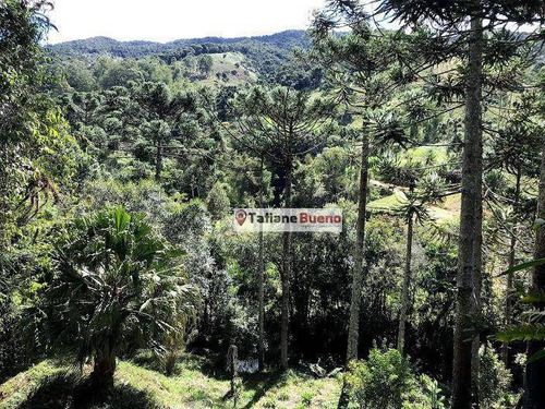 Imagem 29 de 30 de Chácara 12.000 M, Com Cachoeira - Ch0075