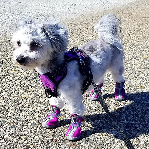 Qumy - Zapatos Para Perros Pequeños, Cachorros, Botas Para E
