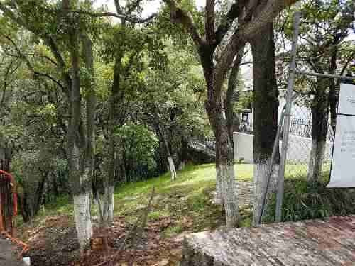 Imagen 8 de 10 de Terreno En Venta Para 5 Residencias En Sayavedra