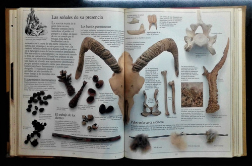 Enciclopedia Visual Clarin Tomo Ii - Aves Mamiferos Reptiles (Usado)