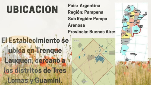 Imagen 2 de 12 de Campo De 50 Has En Venta En Distrito De #trenquelauquen