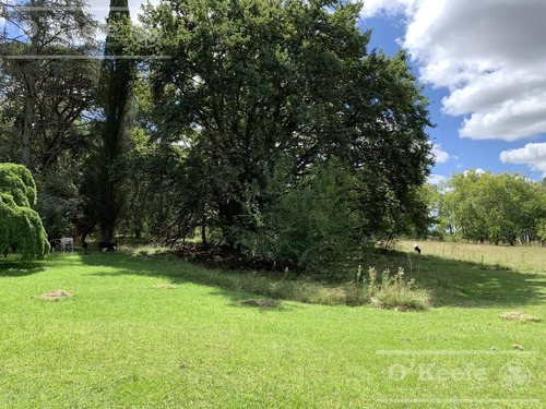 Campo Mixto En Venta De 228 Has Sobre Ruta 29 -en Brandsen