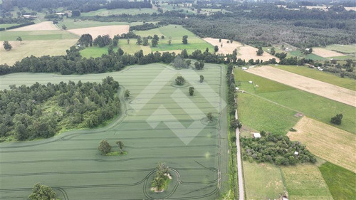 Agrícola En Venta En Lago Ranco La Unión