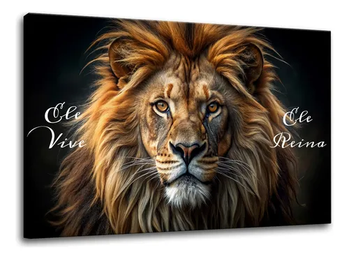 comprar Quadro Grande Sala Tela Canvas 70x100 Cm Leão Ele Vive Reina