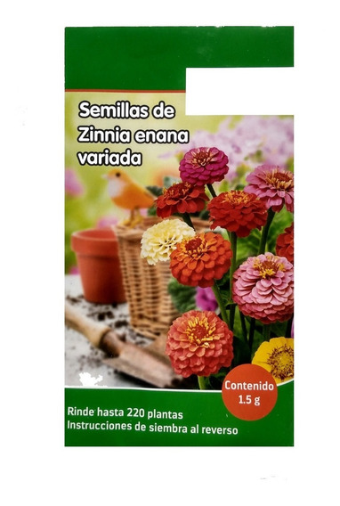 Kit De Siembra 70 Semillas Orgánicas De Flor Rosa Mística Enana 