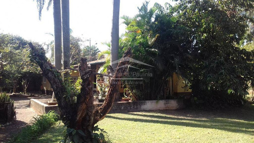 Imagem 9 de 15 de Chácara À Venda Em Santa Terezinha - Ch009193
