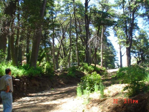 Imagen 5 de 10 de Lote En Venta Barrio Epulafquen