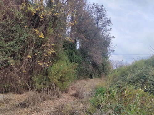 Parcela Agricola 5074 M2