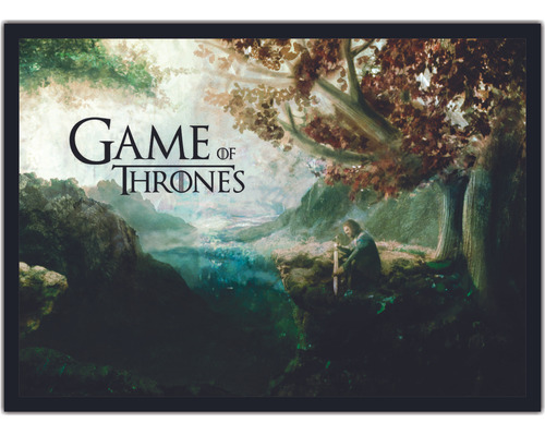 Quadro Game Of Thrones Séries Cinema Filmes Geek Moldura G03