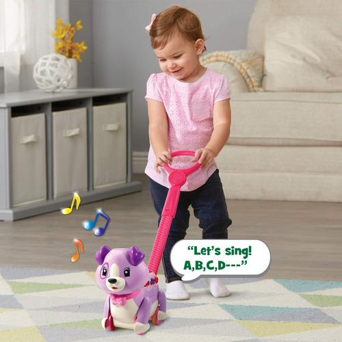Leapfrog Step And Learn Violeta