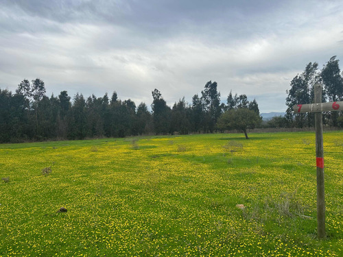 Terrenos 5.000mts2 Rol Propio Limache Sector Los Laureles