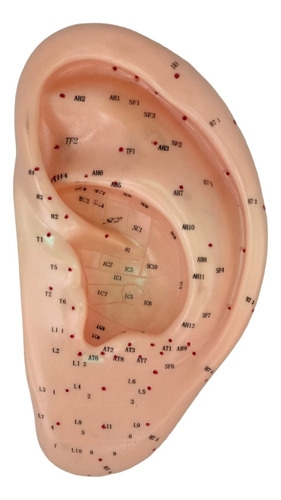 Modelo De Oreja Con Puntos Auriculoterapia 