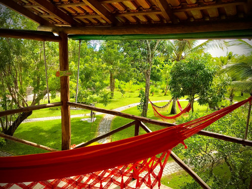 Fazenda Com 5,5ha A Casa Tem 495m2 Construído Em 2 Andares. Piscina Natural. O Imóvel E Perfeito Para Plantar Café Ou Cacau