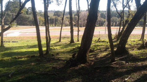 Imagem 13 de 15 de Terreno Para Venda Em Campina Grande Do Sul, Novo Daher - 00283b8_2-1195590