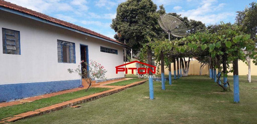 Imagem 27 de 29 de Chácara Com 2 Dormitórios À Venda, 5000 M² Por R$ 1.000.000 - Enxovia - Tatuí/sp - Ch0031